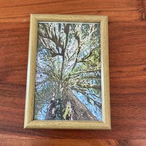 Small tree picture framed boho wall art nature